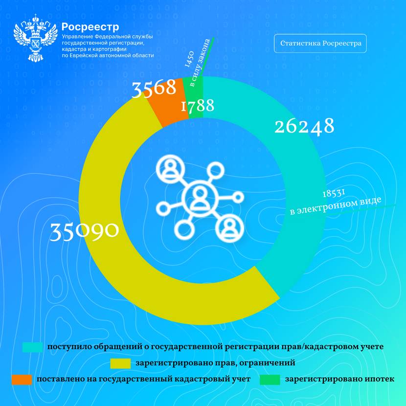 Более 18 тысяч обращений в электронном виде поступило в Управление Росреестра по ЕАО за 2023 год